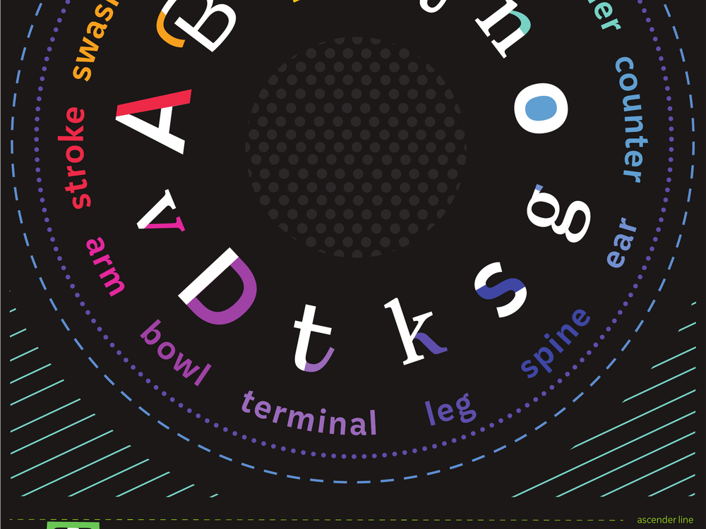 Type Anatomy poster